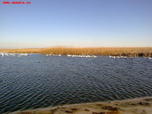 Vand teren Tulcea lac Sinoe